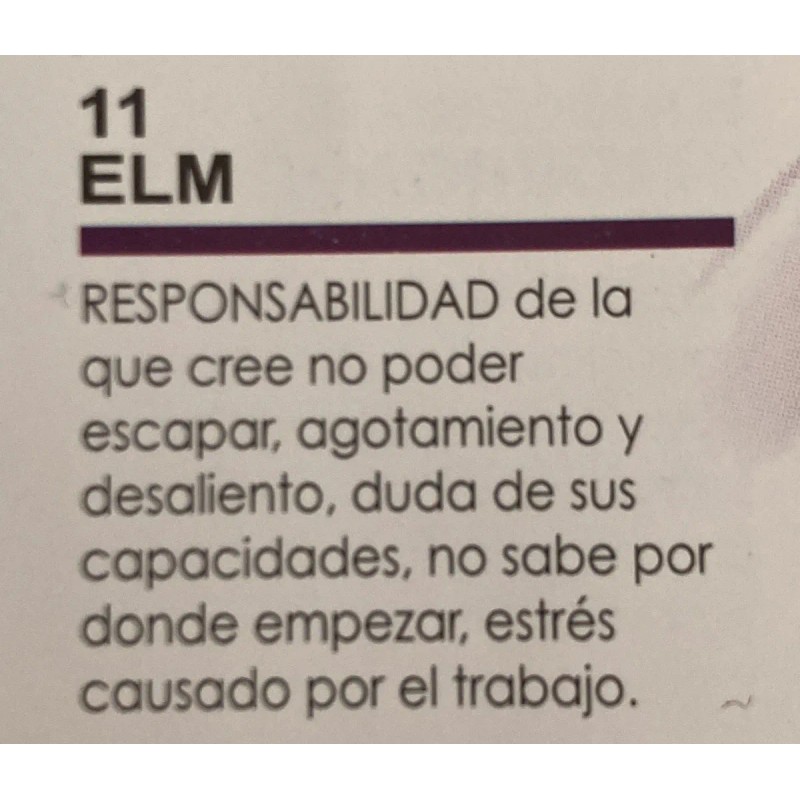 Elm Flores Bach