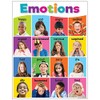 Teacher Created Resources Colorful Emotions Chart, 17" x 22"