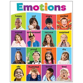 Teacher Created Resources Colorful Emotions Chart, 17" x 22"