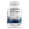 healblend Digestive Health Enzyme Blend Supplement: Advanced Enzyme with Probiotics