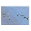 TL065 Transparent Envelope Scenery Letter Set (Sea and Fish) Tracing