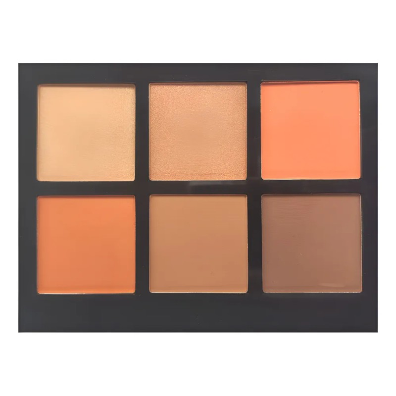 Paleta De Iluminador, Rubor Y Bronceador Prolux Marrón Claro