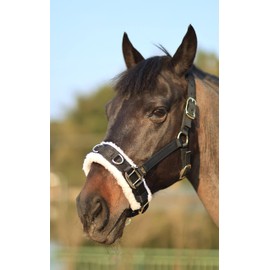 T TEKE Lunge Cavesson with Fleece Lined Nose Band and Crown