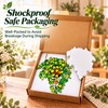 Plant Stained Glass Suncatcher, Pothos Window Hanging Garden Decor