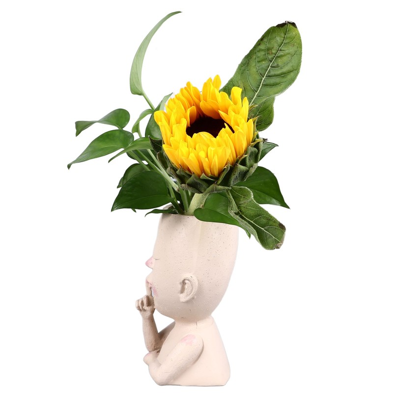 Face Flower Pot Head Planter Pot Cute Resin Succulent Planter