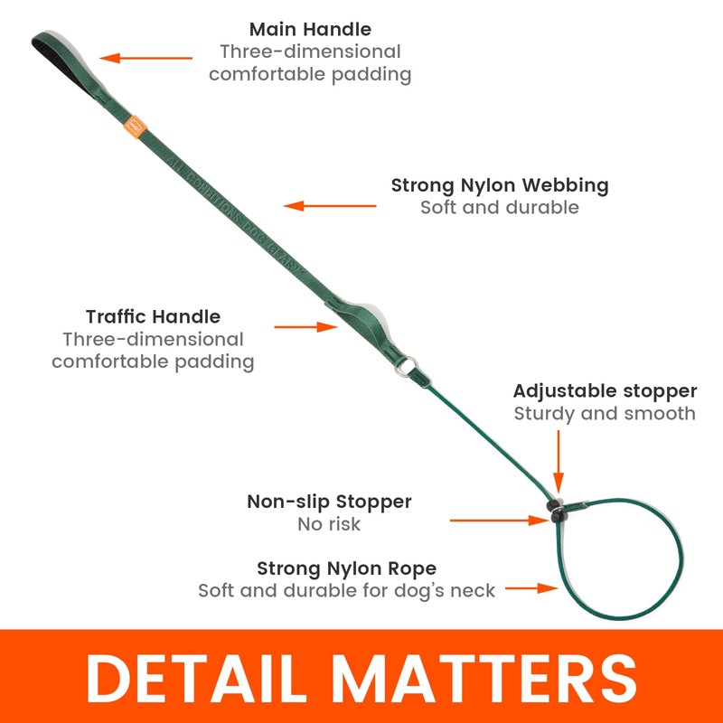 Howgo Dog Slip Lead Dog Leash, Training Lead, No-Pull Slip