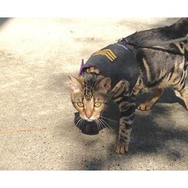 Mynwood Cat Jacket/Harness Novelty fabrics for Kittens or Adult Cats (Sergeant on Black, Adult Cat)