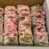 VIE Sage Smudge Stick, White Sage and Pink Sinuata 4",