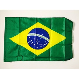 Brazil Flag 2' x 3' for a pole - Brazilian flags 90 x 60 cm - Banner 2x3 ft with hole light polyester - AZ FLAG