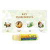 InstaCure 4-Pack | Vanilla Bean & Vitamin E, Peppermint &