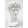 Vittoria Collection Classic Head Bust of David by Michelangelo Statue