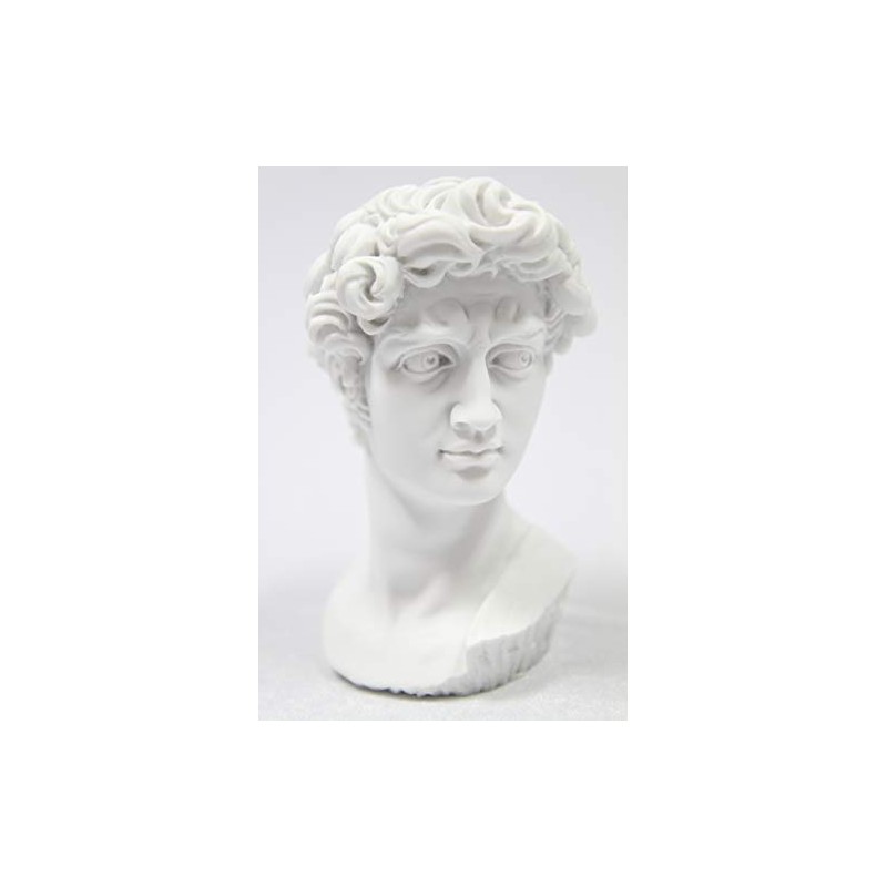 Vittoria Collection Classic Head Bust of David by Michelangelo Statue