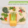 LUVCOSY Fresh Herb Keeper for Refrigerator, Clear BPA-Free Herb Saver,