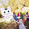 Cat Pinata Cat Birthday Party Supplies Kitty Cat Pinatas with
