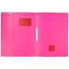 Brunnen Fact!pp File Folder A4 Translucent Polypropylene with Name Tag