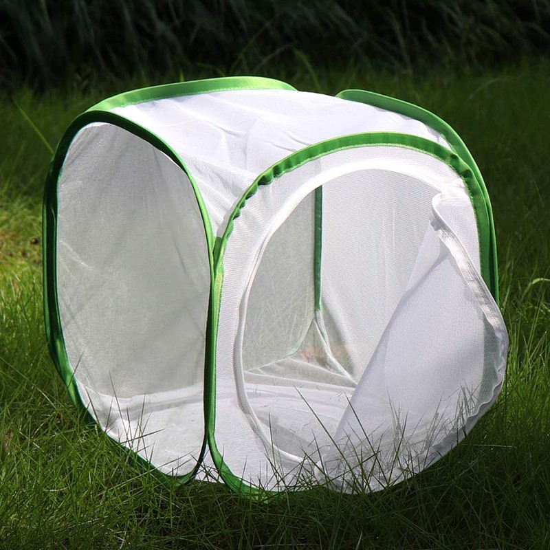 Insect and Butterfly Habitat Cage Terrarium Pop-up 12 X 12