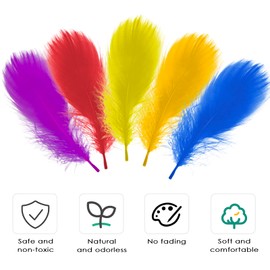 Firschoie Pack of 500 Colourful Feathers, Feather Crafts, Indian Feather Decoration, Natural Feathers for DIY, Wedding, Dream Catcher, Headpiece Feathers, Hats, Home Decor, Birthday Party 6-12 cm