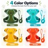 Breathable Mesh Pet Harness with Leash for Cats & Small