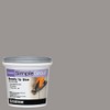 Custom PMG165QT 1-Quart Simple Premium Grout, Delorean Gray (Pack May