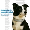 2-Pack Calming Dog Collars with Natural Essential Oils, Adjustable Waterproof