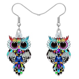 RAIDIN Acrylic Cartoon Owl Earrings for Women Girls Hypoallergenic Dangle Drop Earrings Animals Owl Jewellery for Gift Party Birthday Decorations, Acrylic, No Gemstone