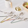 Sammi Cutlery 316 Stainless Steel Ara Color Ceramic Cutlery Set