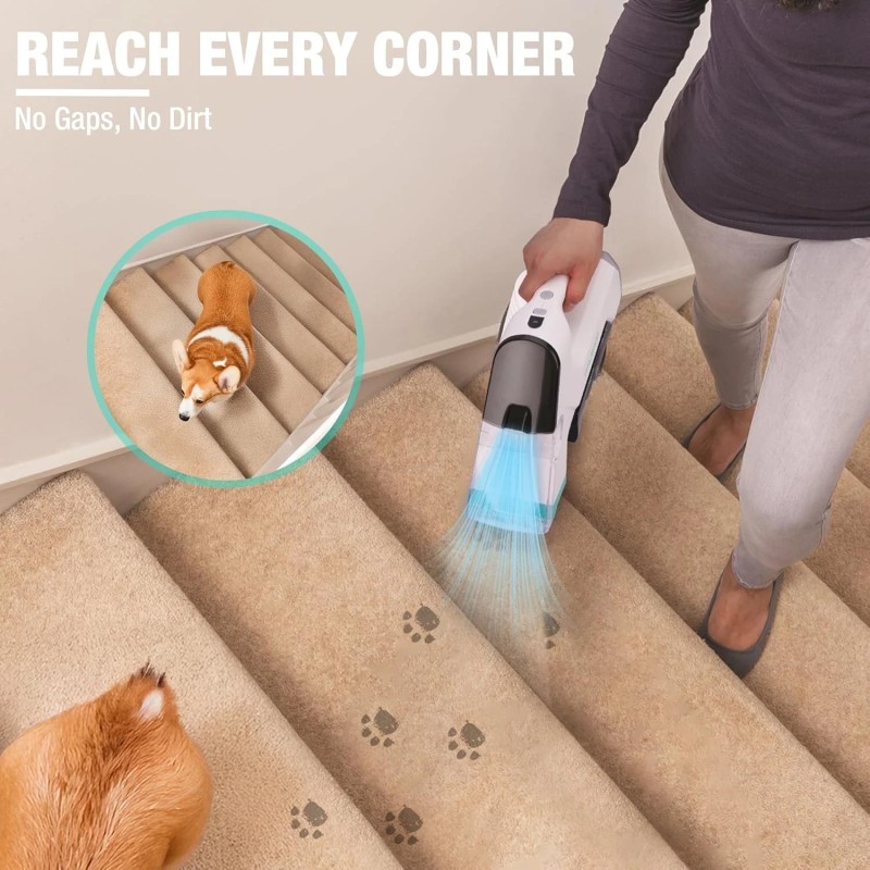 HAUSHOF 12V Handheld Cordless Carpet Cleaner 6.5KPa w/2 Tanks Spot