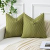 Kevin Textile Pack of 2, Spring Linen Decorative Throw Pillow