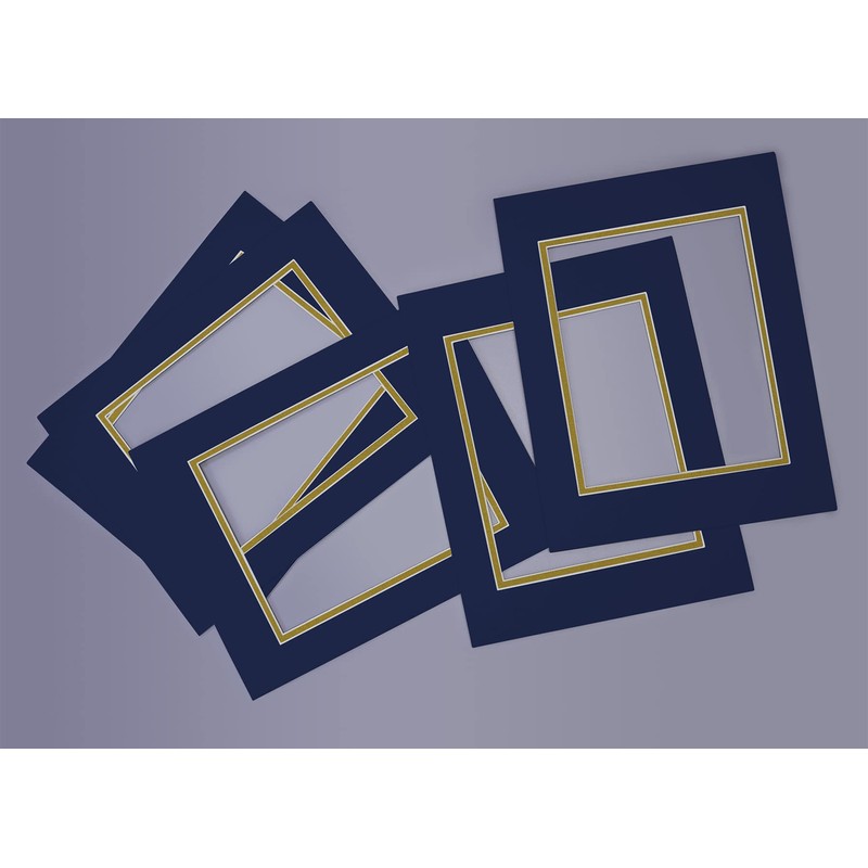 Golden State Art, 11x14 Double Mats for 8x10 - for