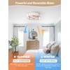 Beiduna 18" Gold Flush Mount Ceiling Fan with Light, Caged