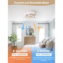 Beiduna 18" Gold Flush Mount Ceiling Fan with Light, Caged Boho Ceiling Fans with Lights and Remote Control, Hidden Bladeless with 6 Speeds for Living Room, Bedroom, Nursery