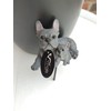 Vivid Arts Plant-Pals (Blue French Bulldog with Puppies)