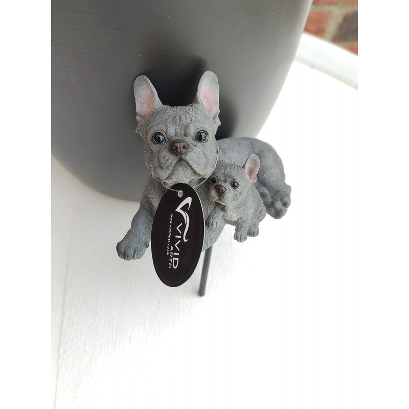 Vivid Arts Plant-Pals (Blue French Bulldog with Puppies)