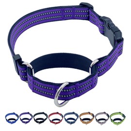 QICHENMAO Martingale Dog Collars with Quick Release Buckle, Heavy Duty Nylon Reflective Dog Collar, NO Pull Walking Training Collar for Large, Medium, Small Dogs (Purple, Large)