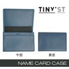 Raymei Fujii NN1078M Pistachio Business Card Holder Tinist