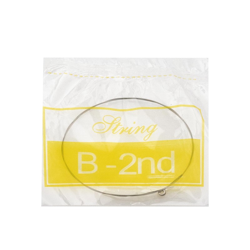 Soundspire 10-Pack Acoustic Guitar Strings, B-2nd Light Tension Brass Wound