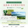 Kalmia Moringa Powder, 100% Powder, Produced in Kumamoto Prefecture, Individually