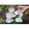 Osumu Coasters, Table, Water Drops, Convenient, Cute Set, Diatomaceous Earth,