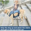DO&G Coodeo Dog Lift Harness Pet Support Rehab Small Blue