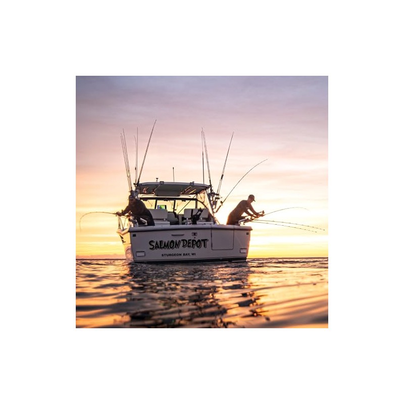 Cannon 1903012 Flush Mount Power Port Downrigger Accessory, Black