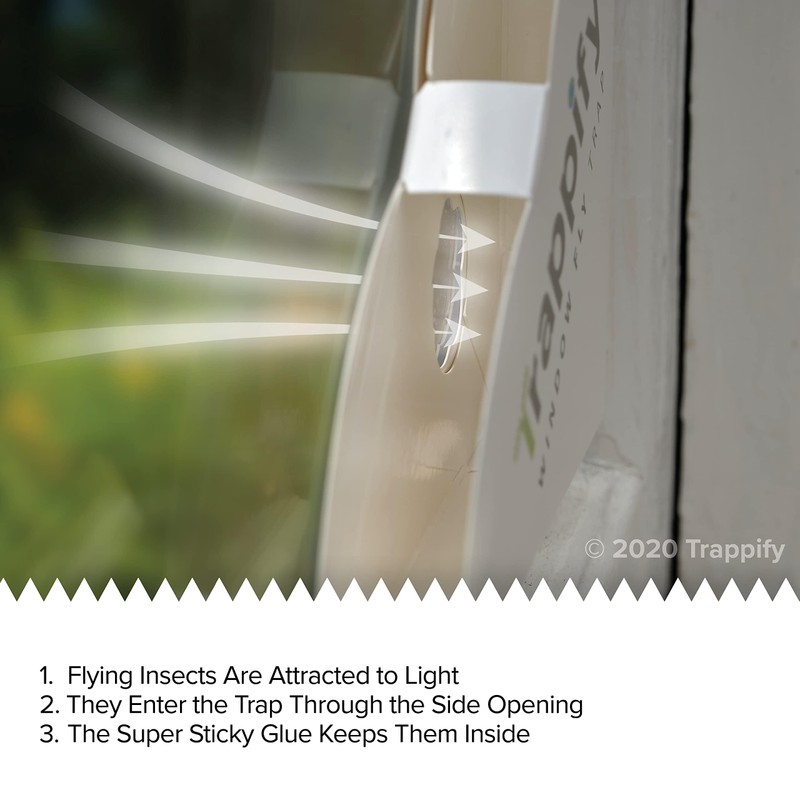 Trappify Fly Trap Indoor: Window Fly Traps for Home |