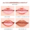 LIANGNISHI Automatic Rotating Lip Liner, Lipstick Pen, Non-Fade, Matte Nude,