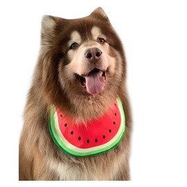 Dog Bandana Watermelon Pet Neckerchief Costume Accessory Summer Waterproof Bib for Medium & Large DogsGolden Retriever Alaskan Samoyed