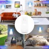 Generic Indoor Flying Insect Trap UV Night Light Bug Catcher