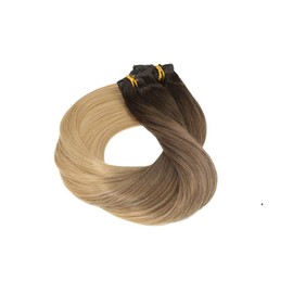 HUAYI Chocolate Dip Blonde Ombre 20inch 120g 7Pcs Clip In Hair Extensions Human Hair Double Weft Thick End Straight Soft For Full Head Balayage Hair(2627#20'')