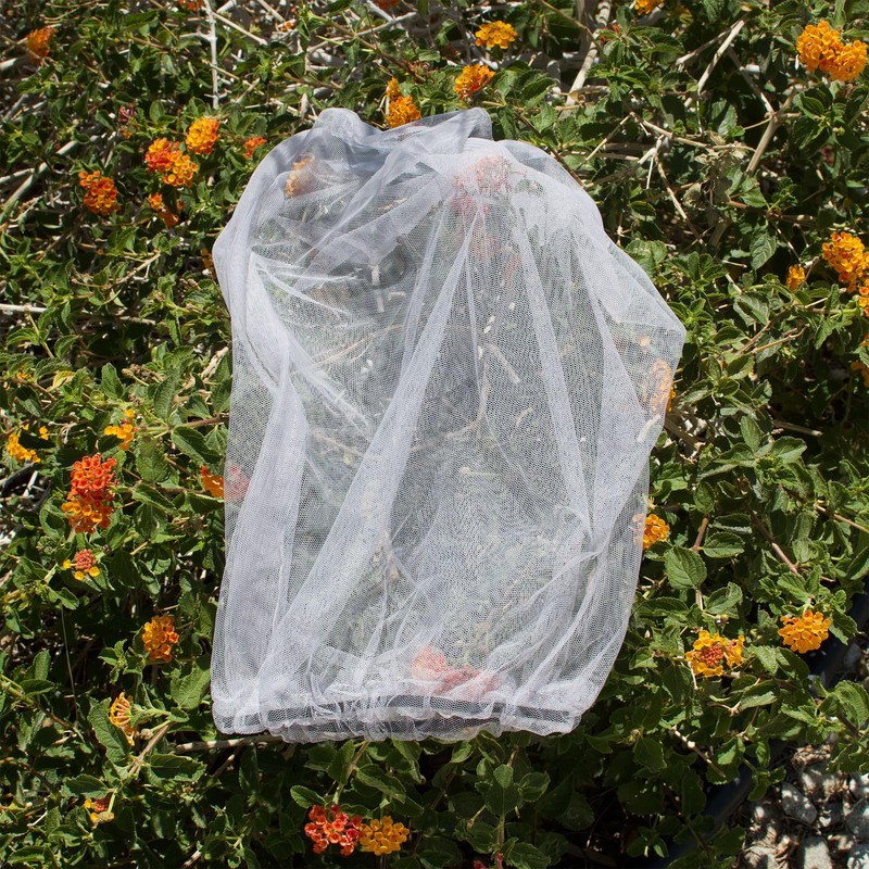 Hiker's Gold Mosquito Head Net for Hiking, Backpacking, Camping