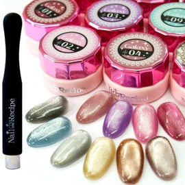 Nail Recipe Galaxy Color Gel Kit Magnetic Gel (10-Color Set with Cylindrical Magnet)