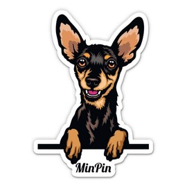 Min Pin Dog Stickers - 2 Pack - Waterproof Vinyl for Car, Phone, Water Bottle, Laptop - Miniature Pinscher Decals (2-Pack)