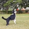 GaesQae Hard Rubber Balls for Dogs,Dog's Solid Rubber Bouncy Ball