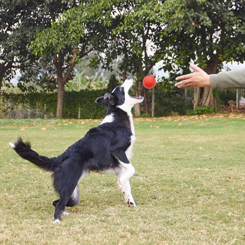 GaesQae Hard Rubber Balls for Dogs,Dog's Solid Rubber Bouncy Ball